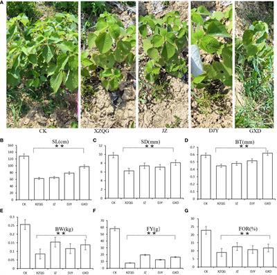 Untargeted metabolomics reveal rhizosphere metabolites mechanisms on continuous ramie cropping